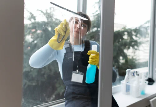 Nettoyage de vitres intérieures et extérieures à Saint-Victor-Rouzaud